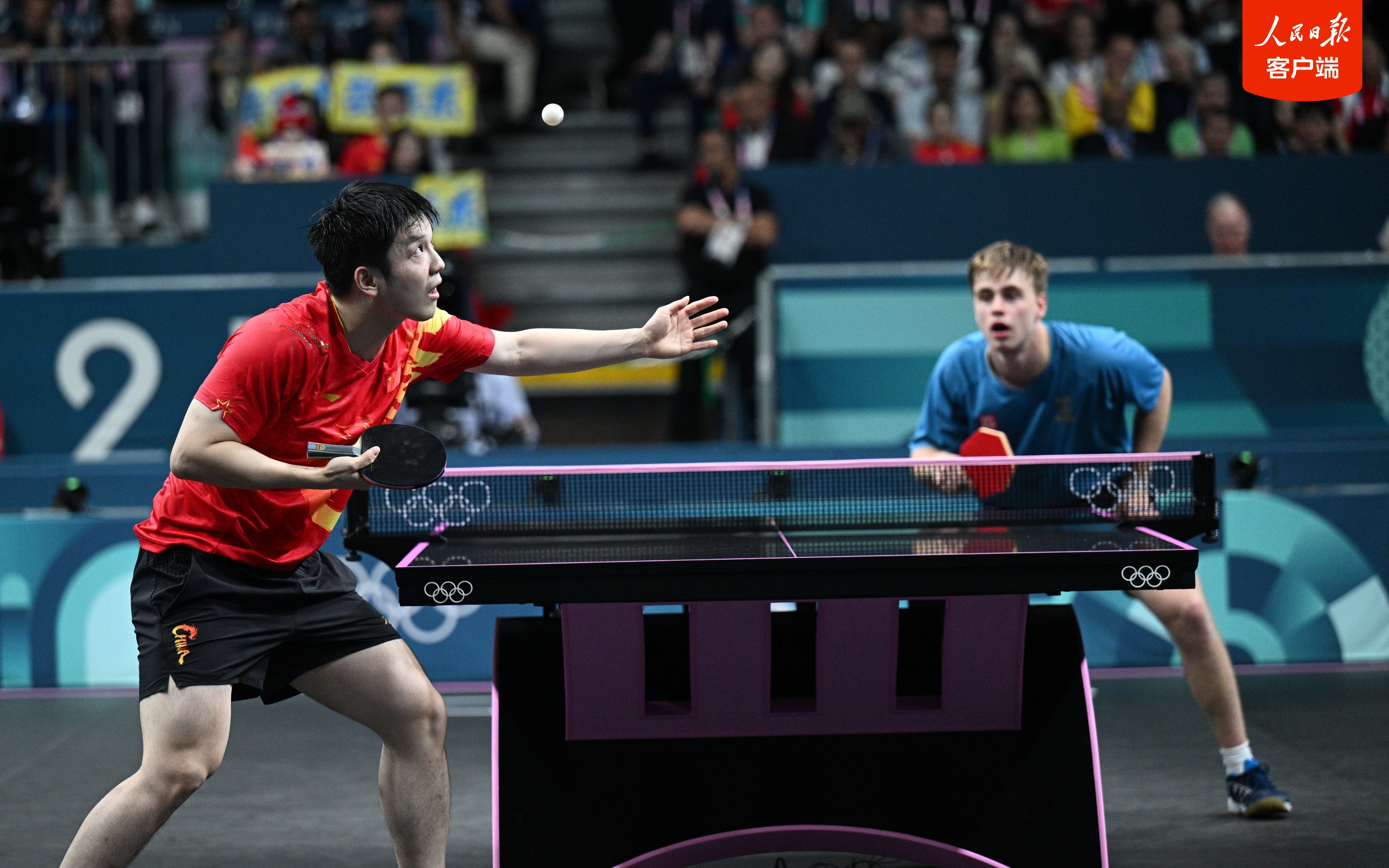 波兰队险胜日本队，樊振东高光表现的简单介绍