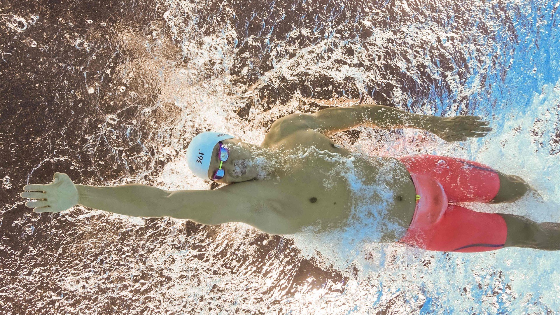 张本智和关键制胜，奥地利队完胜日本队背后的战术与意志