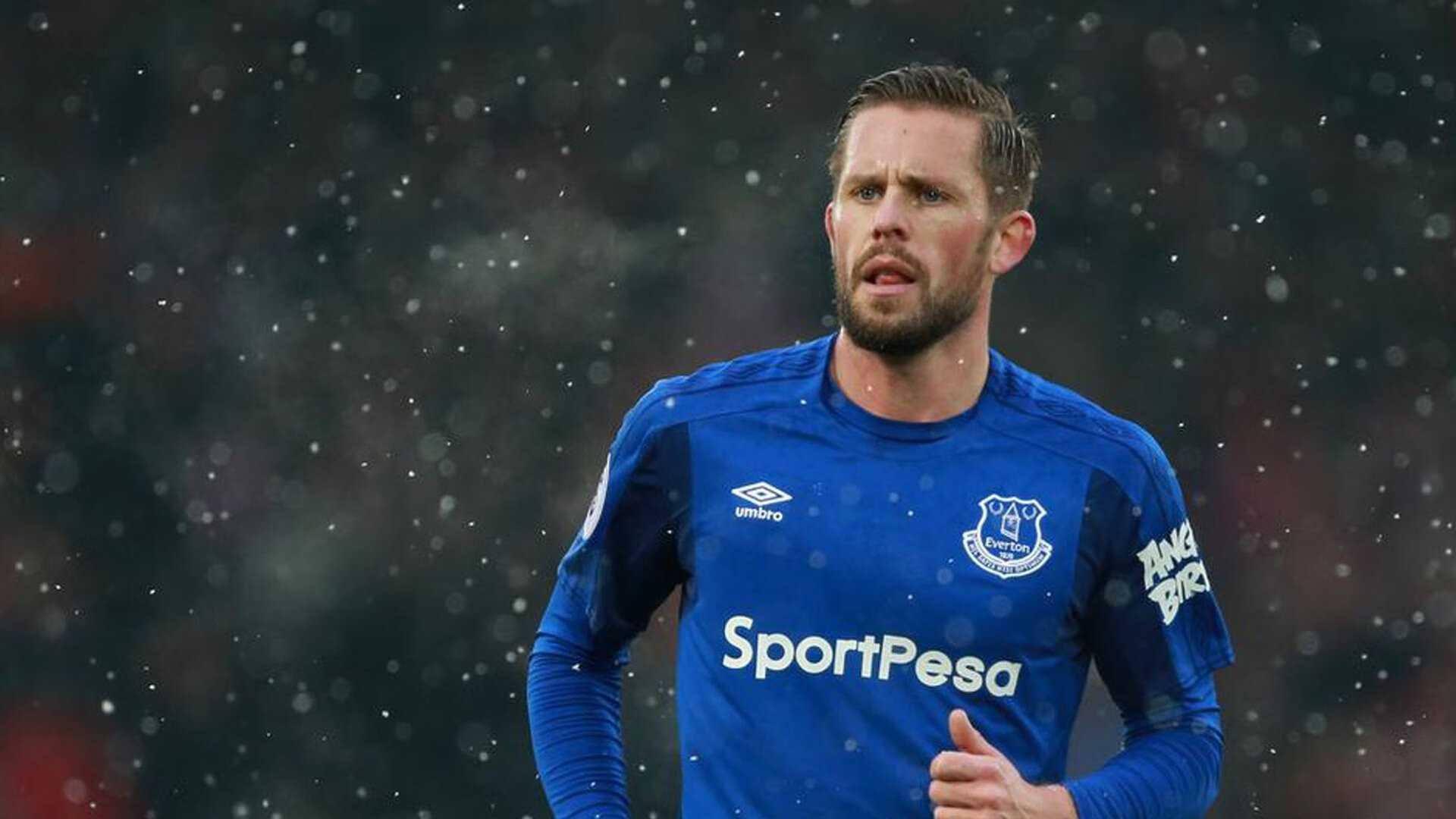 从温网荣耀到戴维斯杯领袖，安迪·穆雷的蜕变与传承